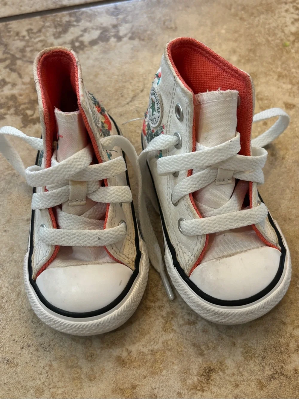 Converse Chuck Taylor All Star Hi Succulents Sneaker Vintage White